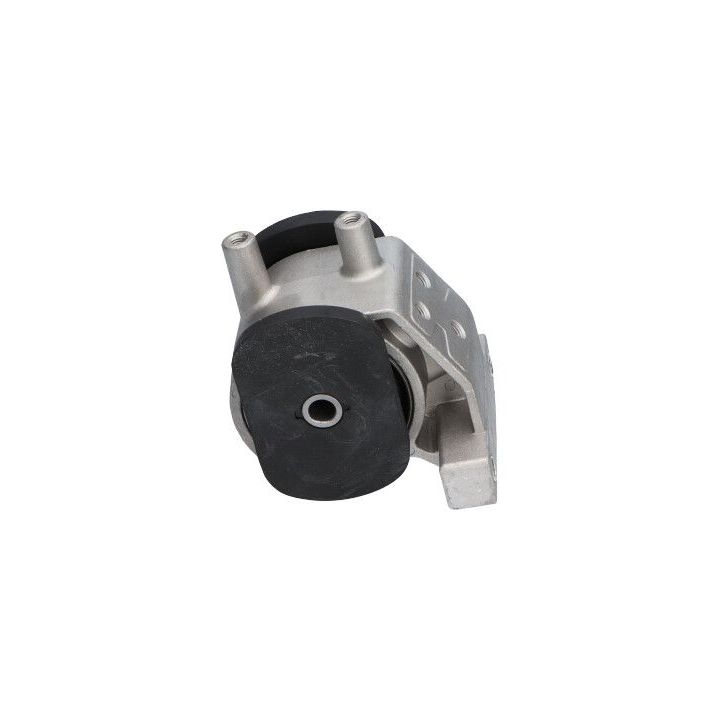 Variklio montavimas KAVO PARTS EEM-3057