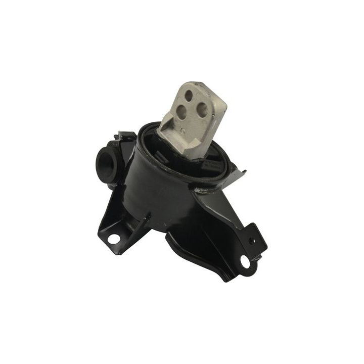 Variklio montavimas KAVO PARTS EEM-3060