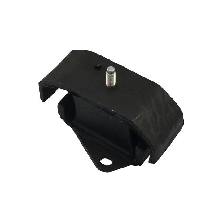 Variklio montavimas KAVO PARTS EEM-3081