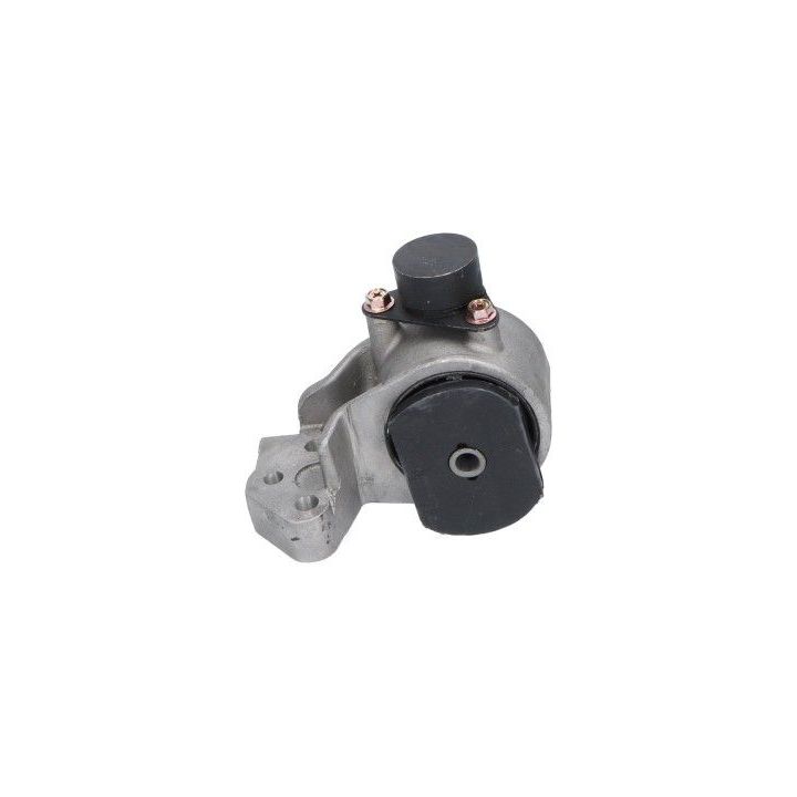 Variklio montavimas KAVO PARTS EEM-3097