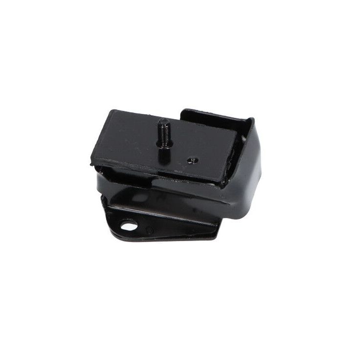 Variklio montavimas KAVO PARTS EEM-3110