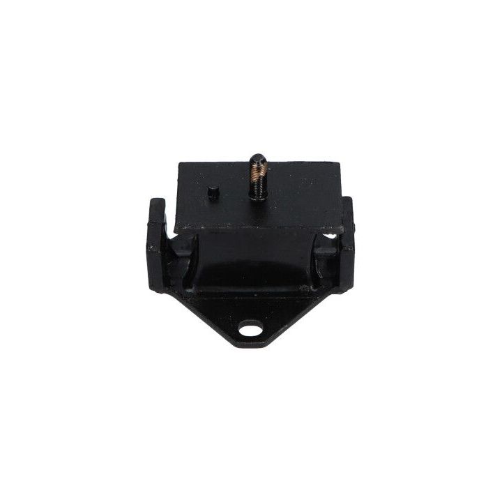 Variklio montavimas KAVO PARTS EEM-3120