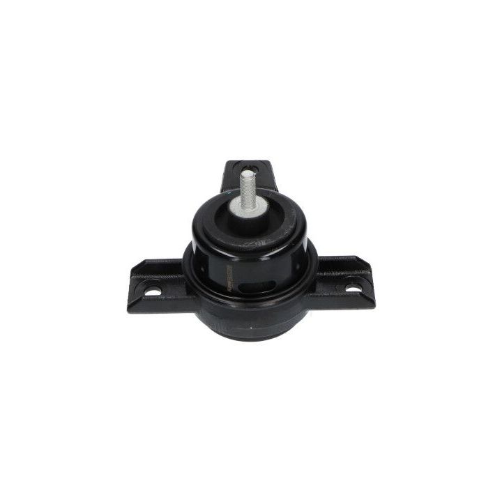 Variklio montavimas KAVO PARTS EEM-3153