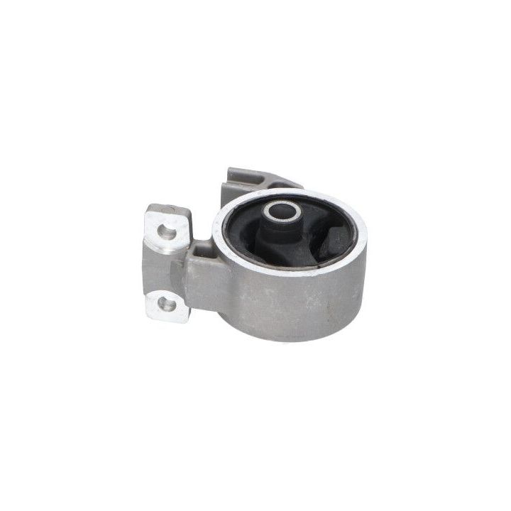 Variklio montavimas KAVO PARTS EEM-4039