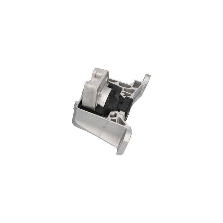 Variklio montavimas KAVO PARTS EEM-4511