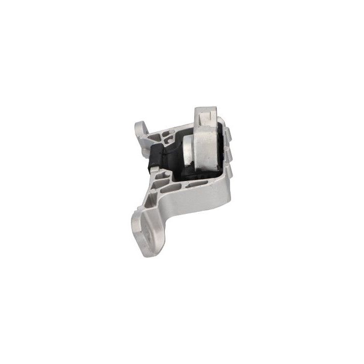 Variklio montavimas KAVO PARTS EEM-4511