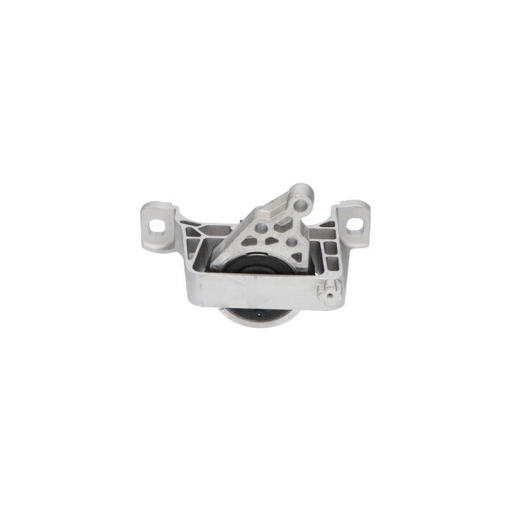 Variklio montavimas KAVO PARTS EEM-4534