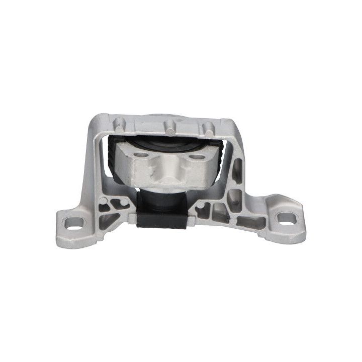 Variklio montavimas KAVO PARTS EEM-4538