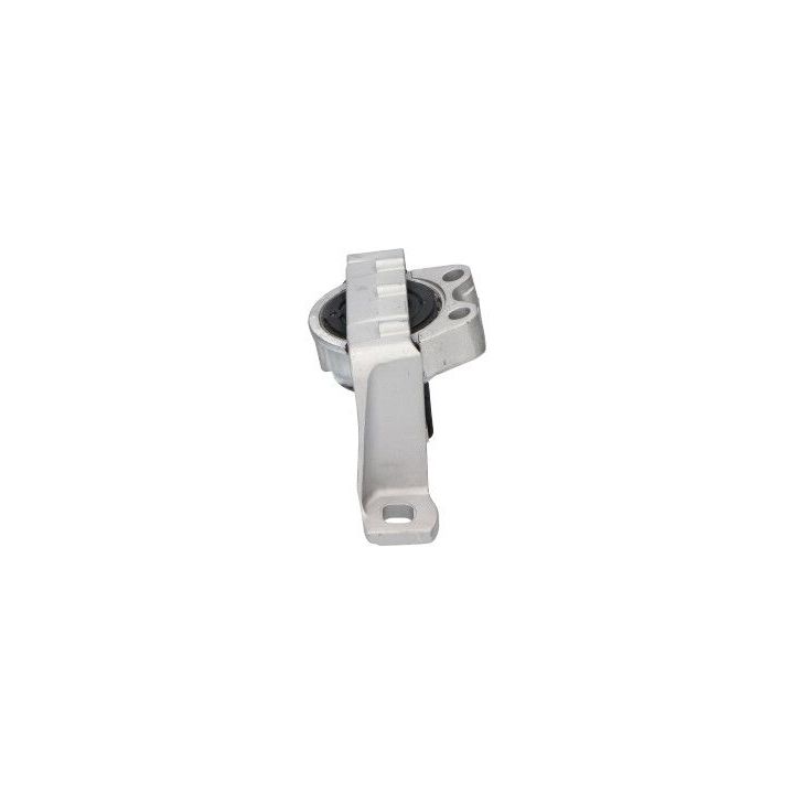 Variklio montavimas KAVO PARTS EEM-4538