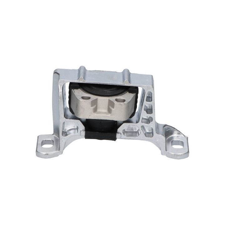 Variklio montavimas KAVO PARTS EEM-4542