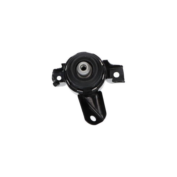 Variklio montavimas KAVO PARTS EEM-4566