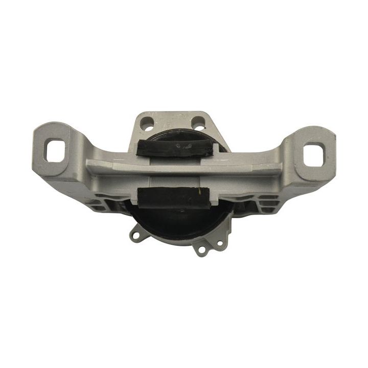 Variklio montavimas KAVO PARTS EEM-4589