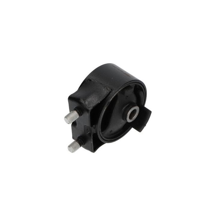 Variklio montavimas KAVO PARTS EEM-4593