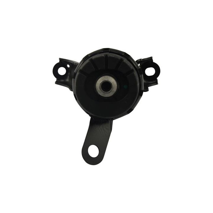 Variklio montavimas KAVO PARTS EEM-4605