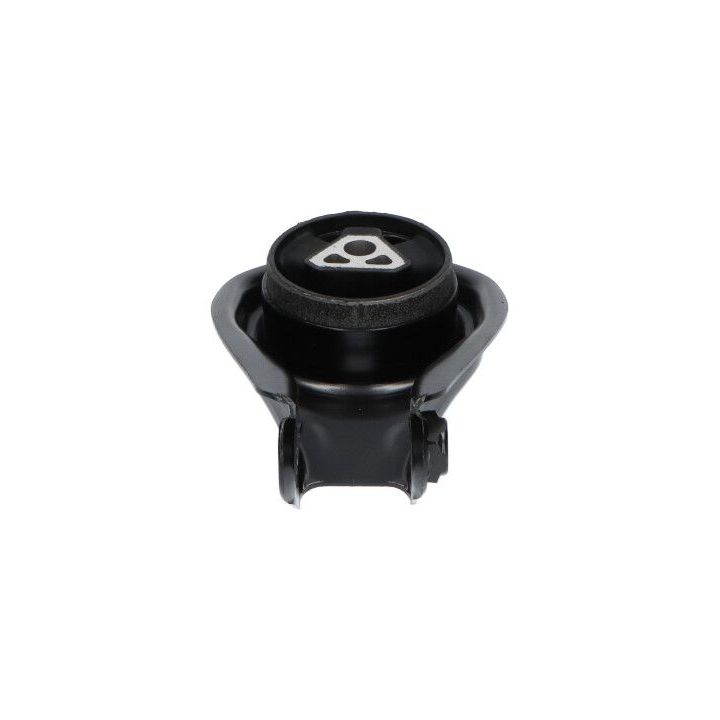 Variklio montavimas KAVO PARTS EEM-4619