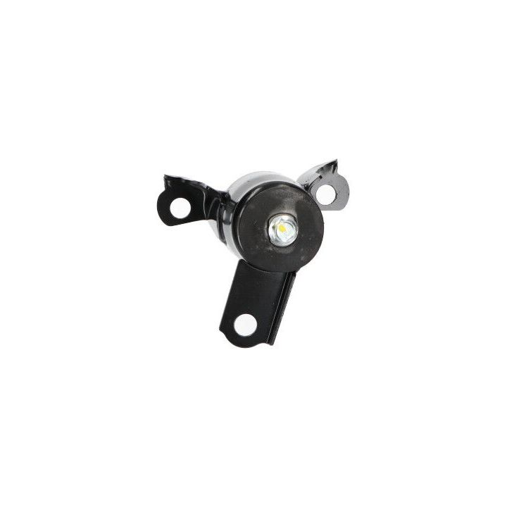 Variklio montavimas KAVO PARTS EEM-4620