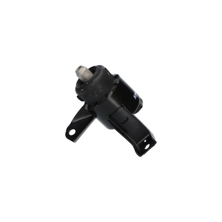 Variklio montavimas KAVO PARTS EEM-4646