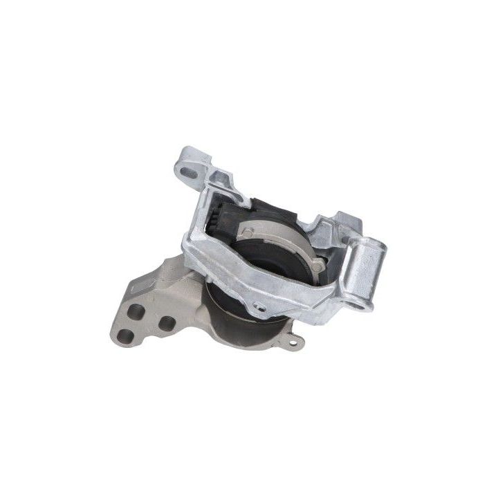 Variklio montavimas KAVO PARTS EEM-4652