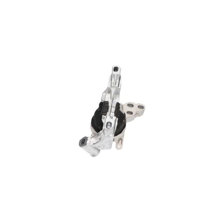 Variklio montavimas KAVO PARTS EEM-4653