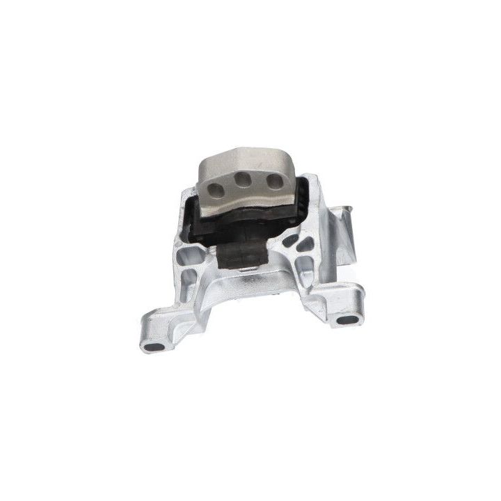 Variklio montavimas KAVO PARTS EEM-4680