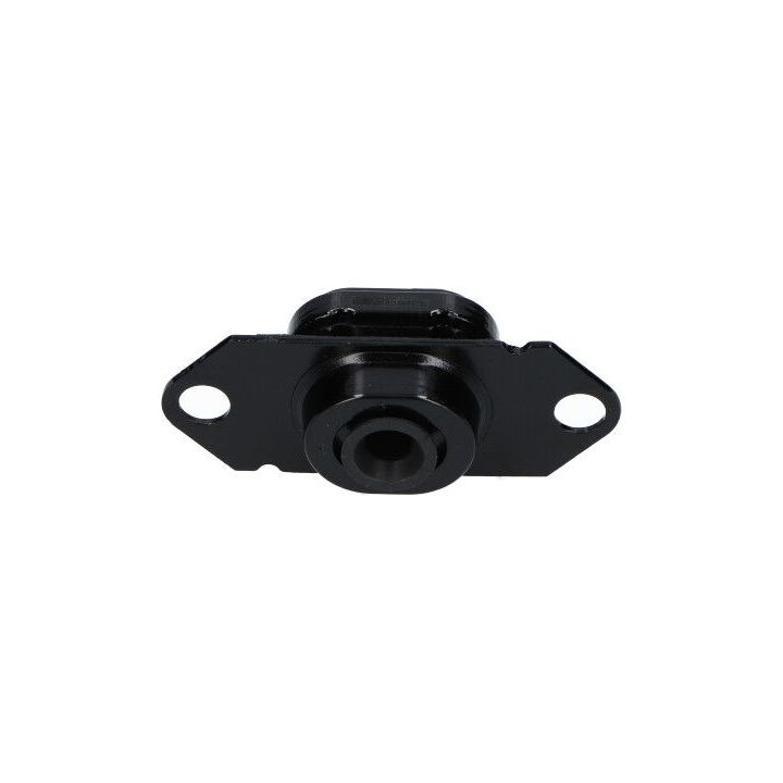 Variklio montavimas KAVO PARTS EEM-6595