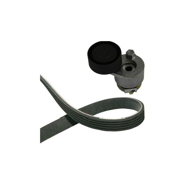 V formos diržas, komplektas KAVO PARTS DKM-6501