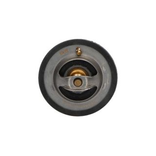 Termostatas, aušinimo skystis KAVO PARTS TH-5509