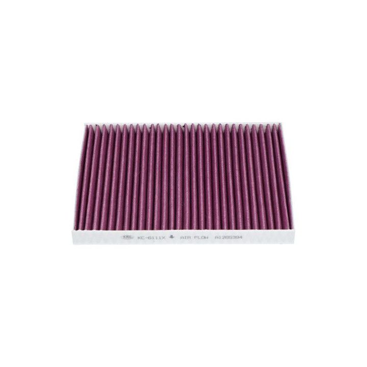 Filtras, salono oras KAVO PARTS KC-6111X