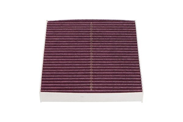 Filtras, salono oras KAVO PARTS NC-2002CX