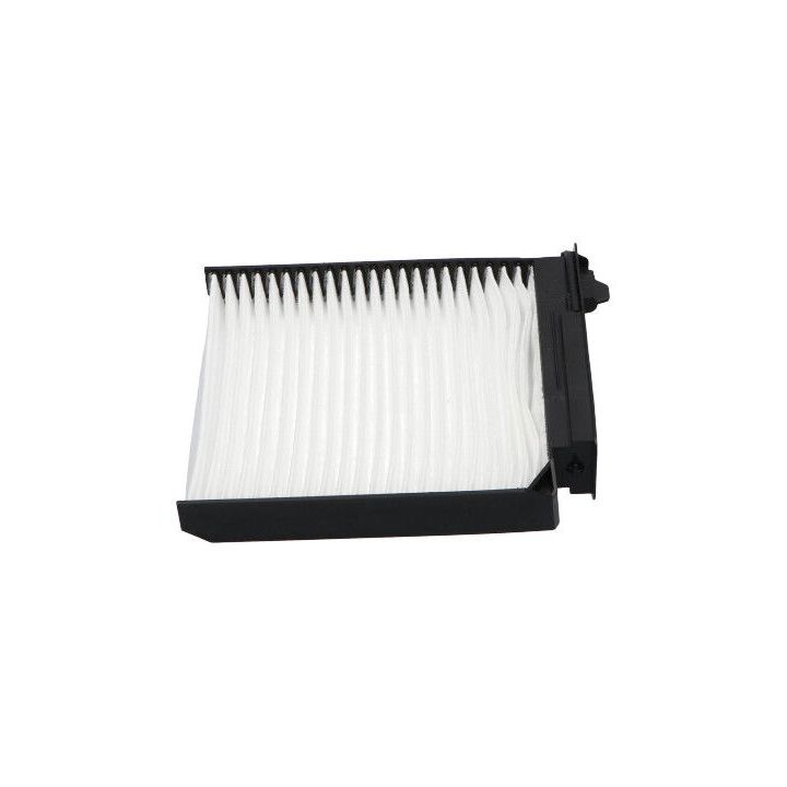 Filtras, salono oras KAVO PARTS NC-2008