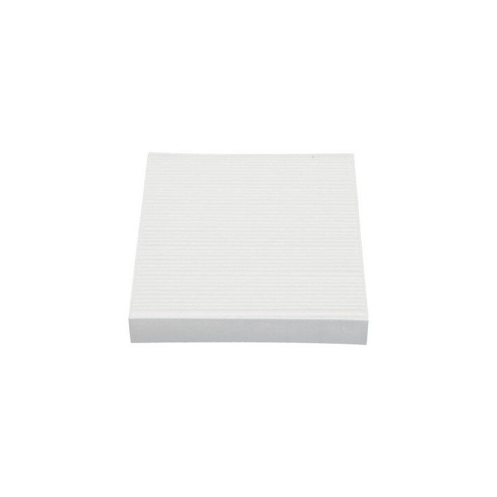 Filtras, salono oras KAVO PARTS NC-2019