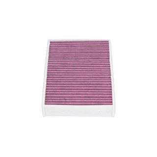 Filtras, salono oras KAVO PARTS NC-2025X