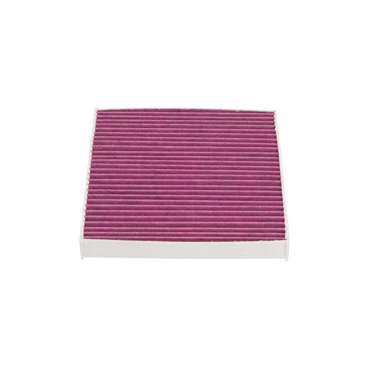 Filtras, salono oras KAVO PARTS NC-2032X