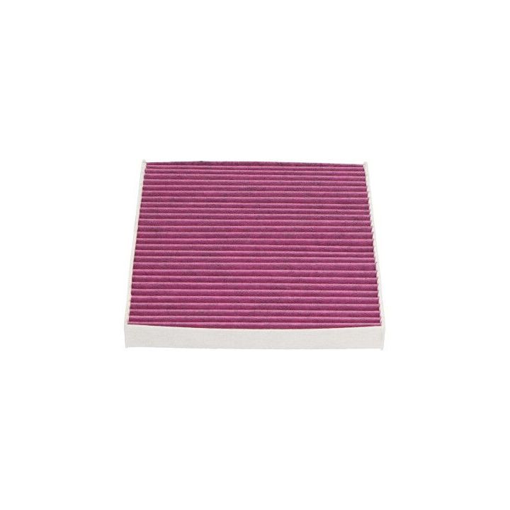 Filtras, salono oras KAVO PARTS NC-2032X