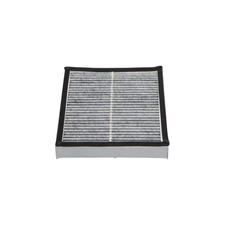 Filtras, salono oras KAVO PARTS NC-2036C