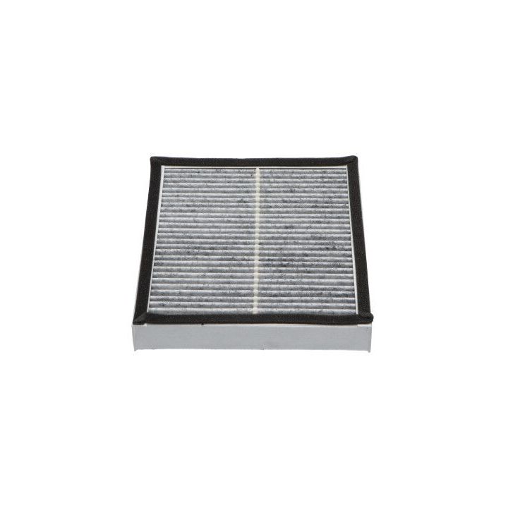 Filtras, salono oras KAVO PARTS NC-2036C