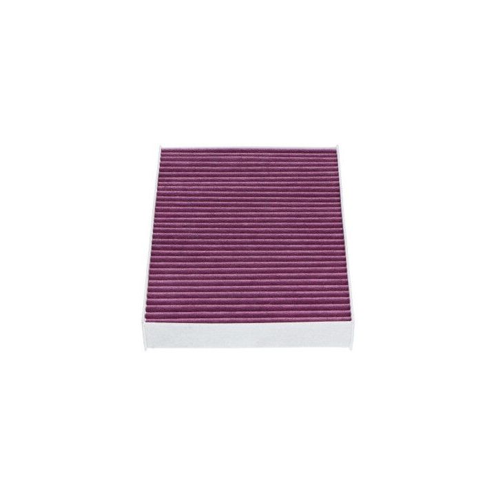 Filtras, salono oras KAVO PARTS NC-2040X