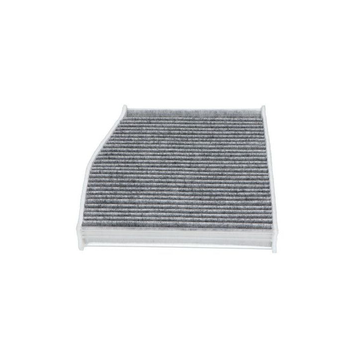 Filtras, salono oras KAVO PARTS NC-2052C