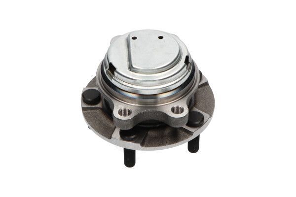 Rato guolio komplektas KAVO PARTS WBH-6524