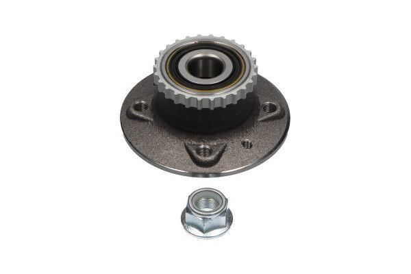 Rato guolio komplektas KAVO PARTS WBK-10010