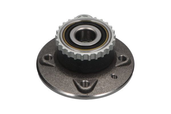 Rato guolio komplektas KAVO PARTS WBK-10010