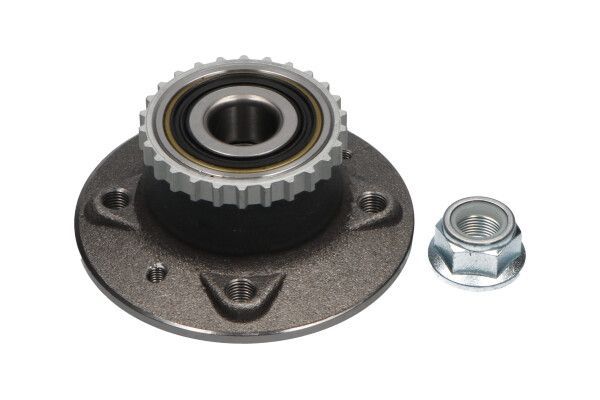 Rato guolio komplektas KAVO PARTS WBK-10010