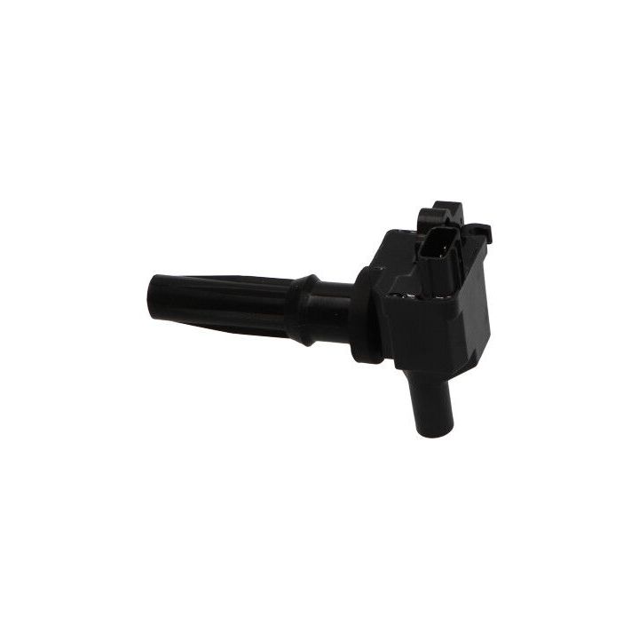 Ritė, uždegimas KAVO PARTS ICC-3033