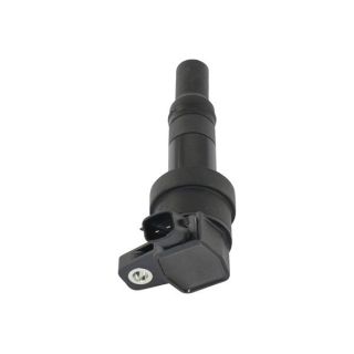 Ritė, uždegimas KAVO PARTS ICC-3038