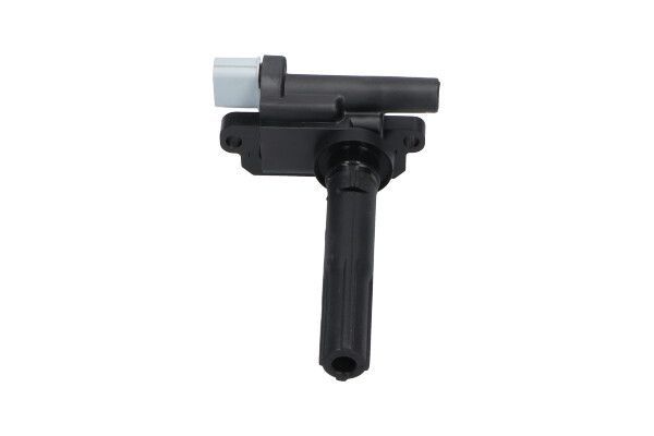 Ritė, uždegimas KAVO PARTS ICC-8504