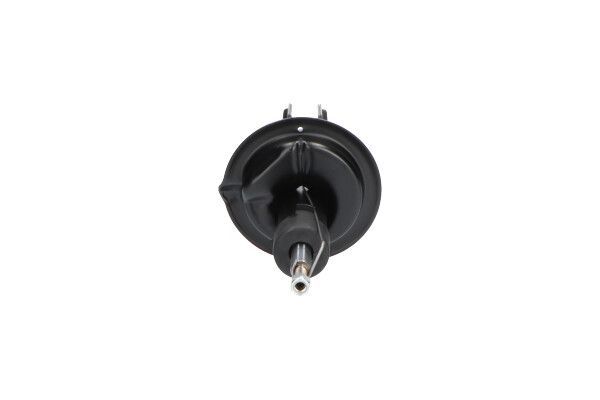 Amortizatorius KAVO PARTS SSA-10394