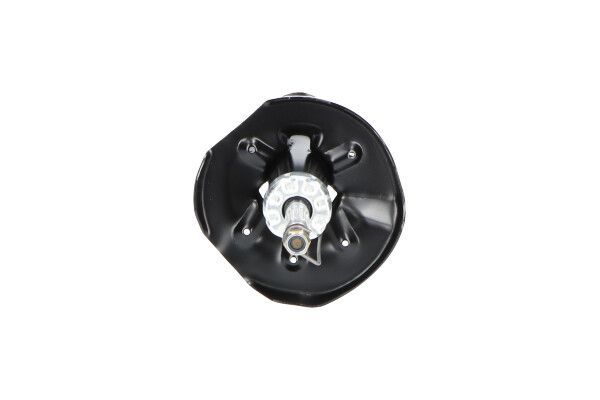 Amortizatorius KAVO PARTS SSA-4516