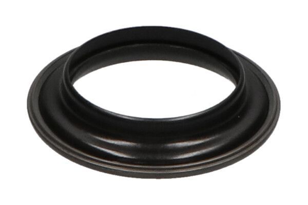 Frikcinis guolis, pakabos statramsčio atramos montavimas KAVO PARTS SSM-10203