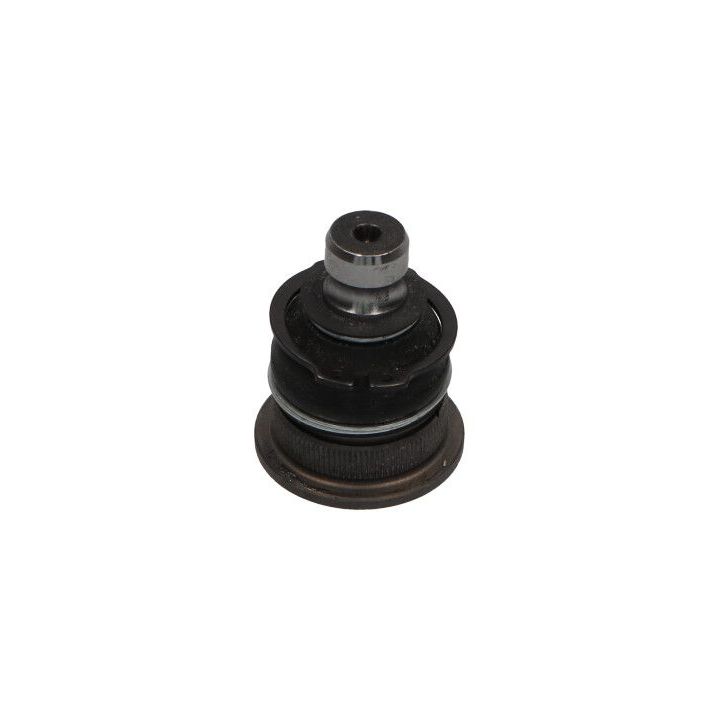 Šarnyras / girgždukas KAVO PARTS SBJ-10002