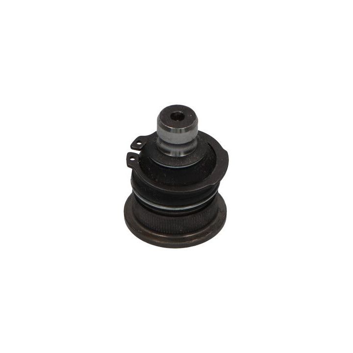 Šarnyras / girgždukas KAVO PARTS SBJ-10002